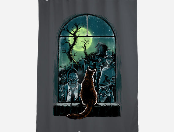 Watching The Zombies