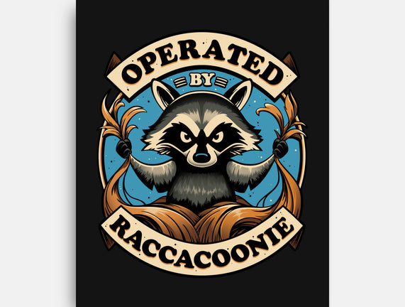 Raccoon Supremacy