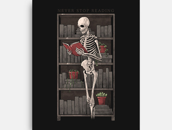 Never Stop Reading