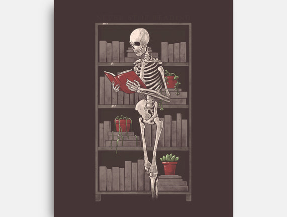 Never Stop Reading