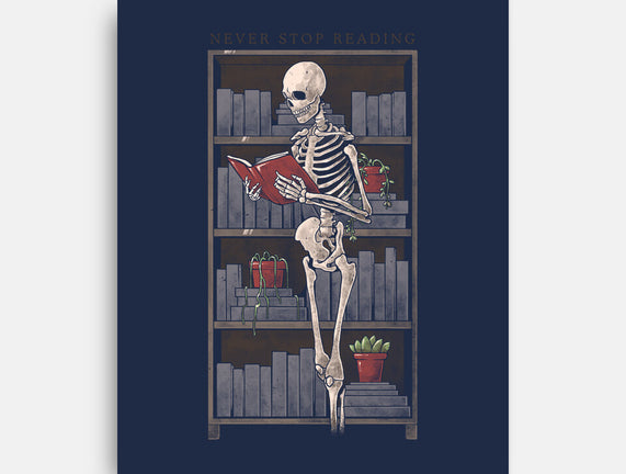 Never Stop Reading