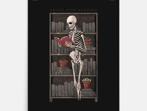 Never Stop Reading