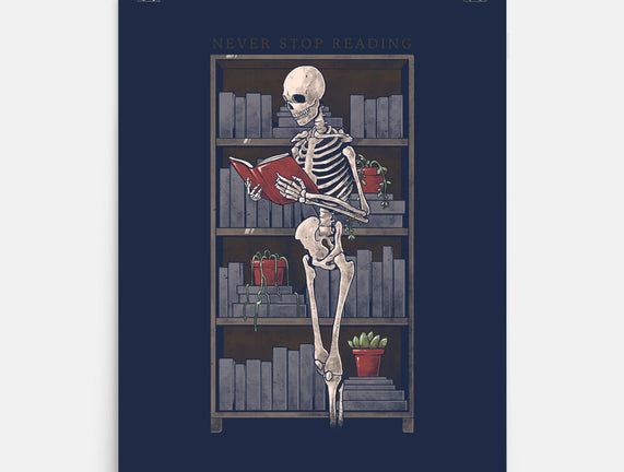 Never Stop Reading