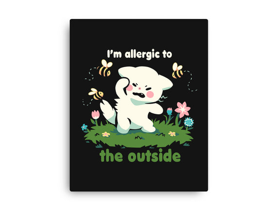 Allergic To The Outside
