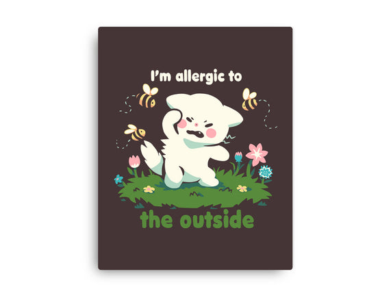 Allergic To The Outside