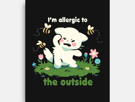 Allergic To The Outside
