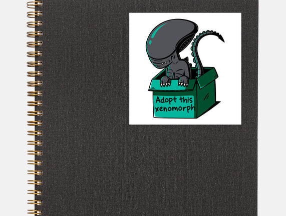 Adopt This Xenomorph