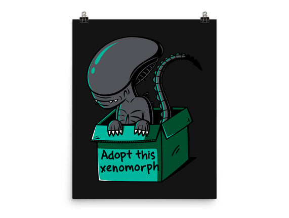 Adopt This Xenomorph