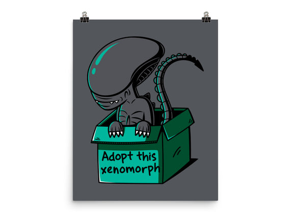 Adopt This Xenomorph