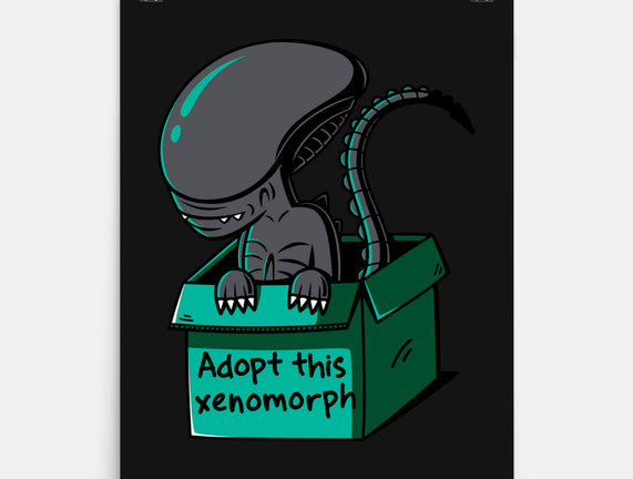 Adopt This Xenomorph