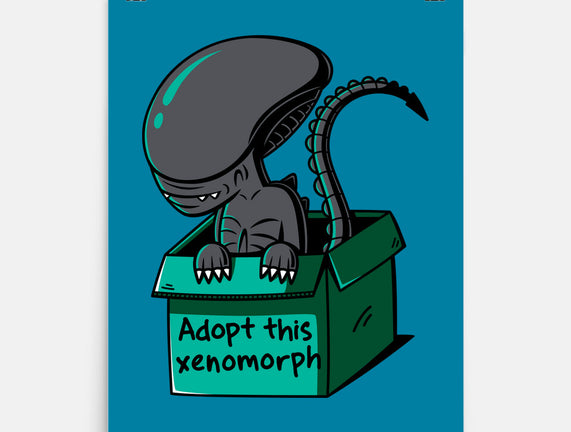 Adopt This Xenomorph