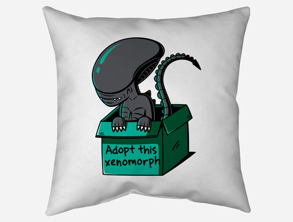 Adopt This Xenomorph