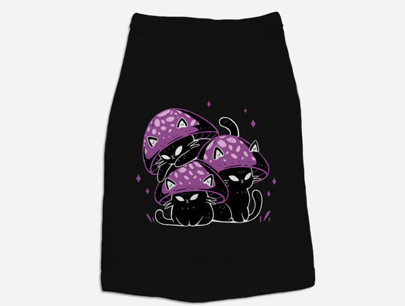 Mushroom Cats
