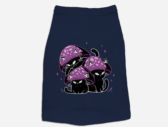 Mushroom Cats