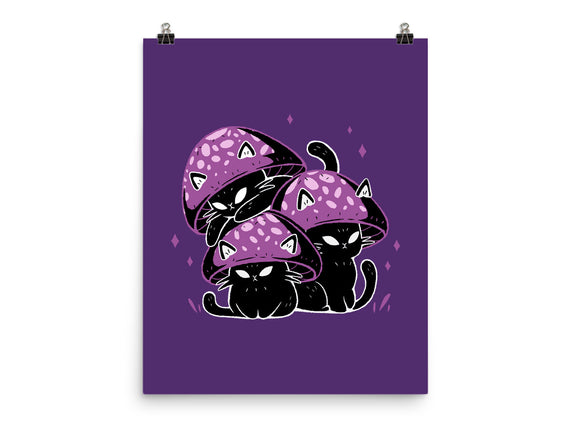 Mushroom Cats