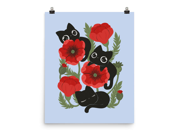 Poppies And Black Kitties