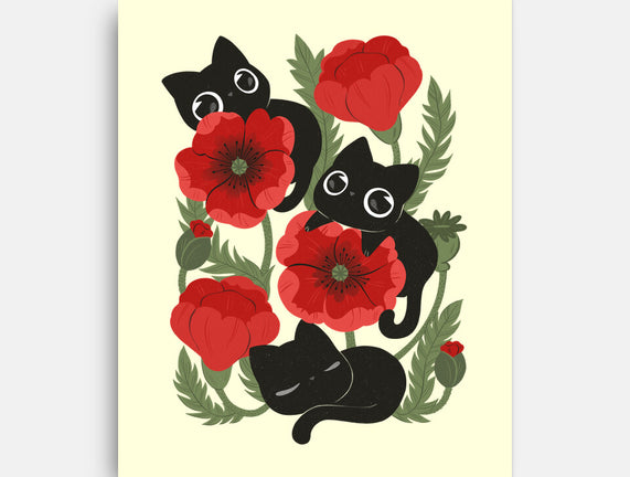 Poppies And Black Kitties