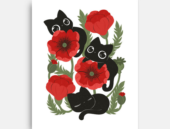 Poppies And Black Kitties