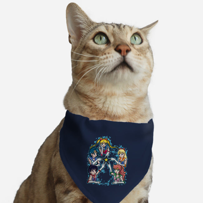 My Group Is A Star-Cat-Adjustable-Pet Collar-nickzzarto