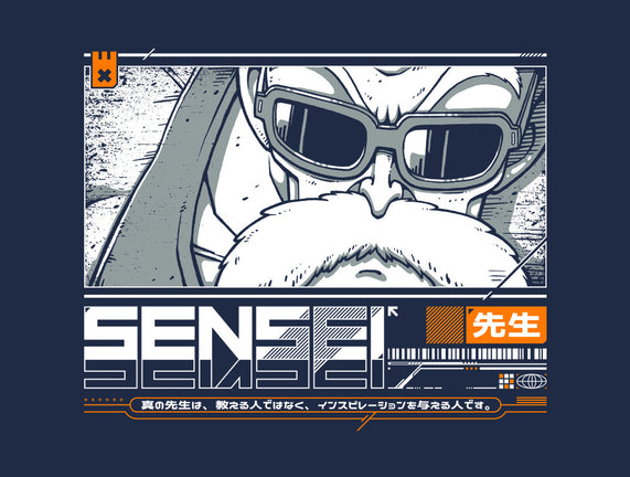 Sensei V4 MRoshi