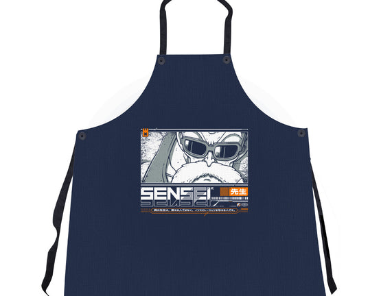 Sensei V4 MRoshi
