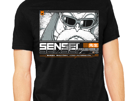 Sensei V4 MRoshi
