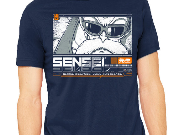 Sensei V4 MRoshi