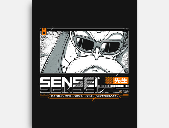 Sensei V4 MRoshi