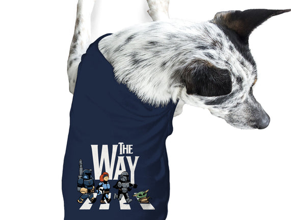 The Abbey Way