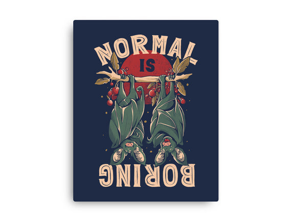 Normal Is Boring