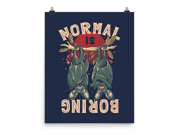Normal Is Boring