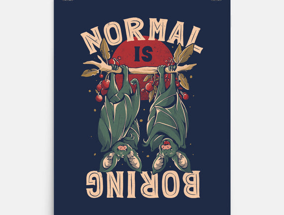 Normal Is Boring