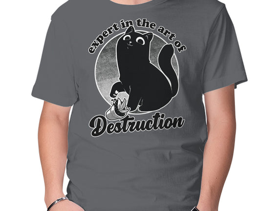 Expert In Destruction