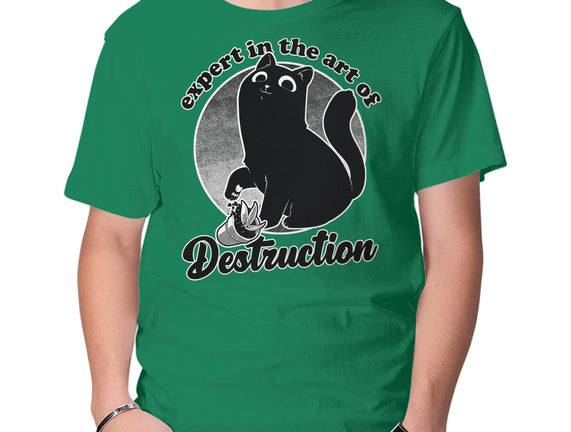 Expert In Destruction