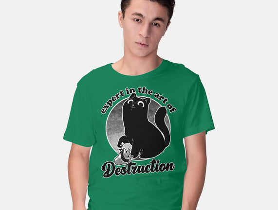 Expert In Destruction
