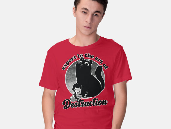 Expert In Destruction