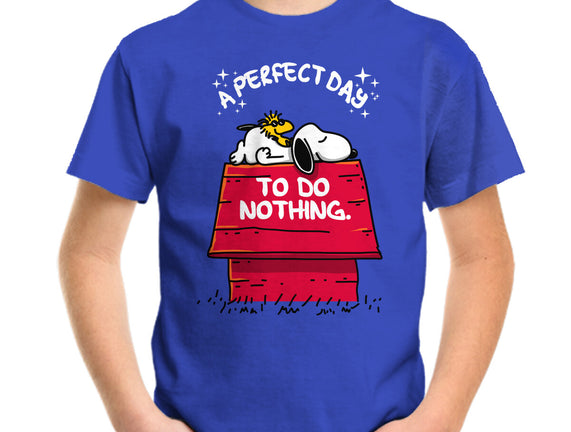 A Perfect Day