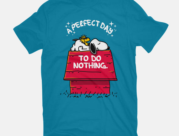 A Perfect Day