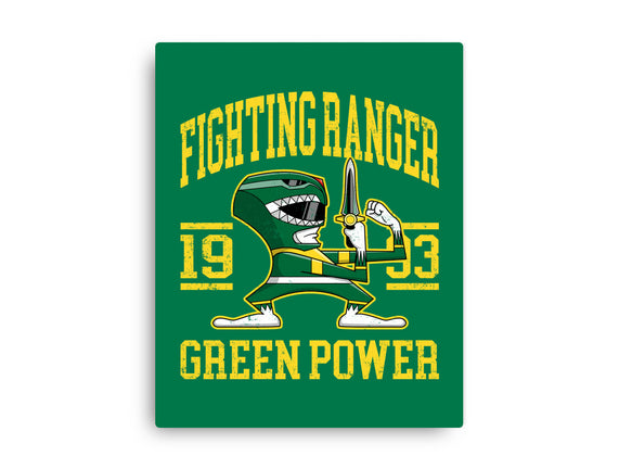 Fighting Ranger