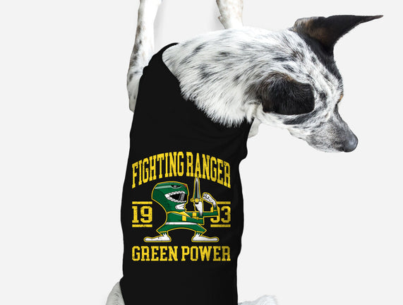 Fighting Ranger