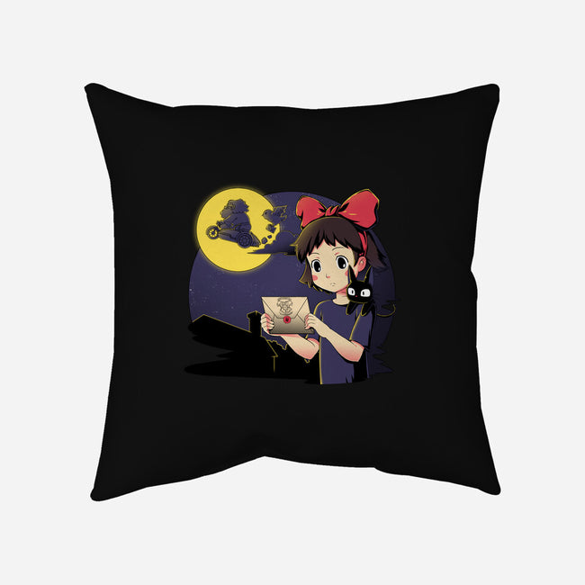 You Have Been Accepted-none removable cover w insert throw pillow-Coinbox Tees