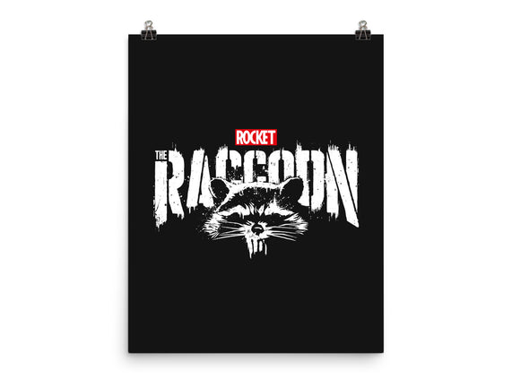 Raccoonisher