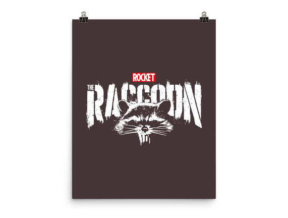 Raccoonisher