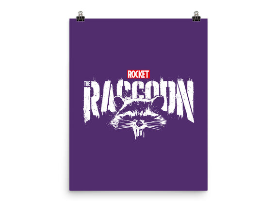 Raccoonisher