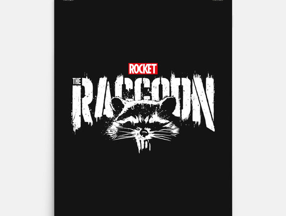 Raccoonisher