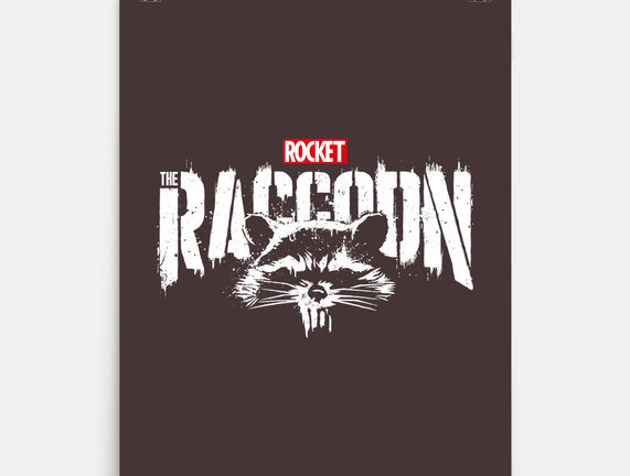 Raccoonisher