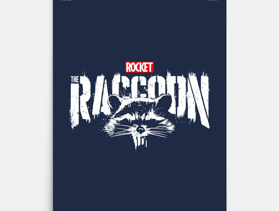 Raccoonisher