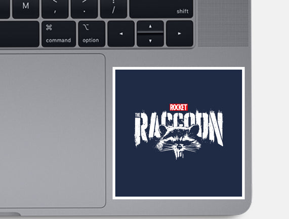 Raccoonisher