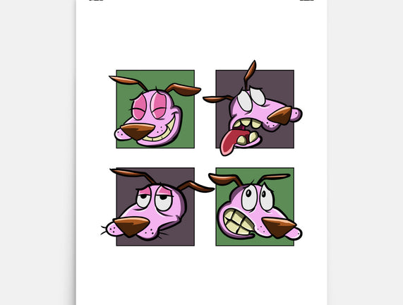 Faces Of Dog