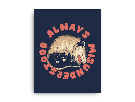 Misunderstood Possum